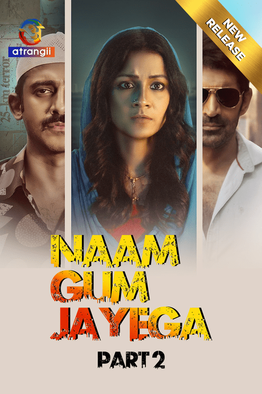 Naam Gum Jayega 2024 Atrangii S01 Part 2 Hindi Web Series HDRip Download
