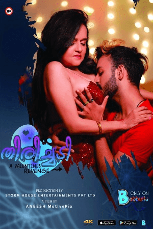 Thirichadi (2024) S01 E02 Babbullu Originals Hindi Hot Web Series 720p HDRip Download