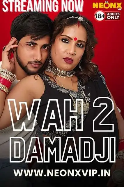 Wah Damad Ji 2 2024 NeonX Hindi Short Film 1080p | 720p HDRip 1filmy4wap
